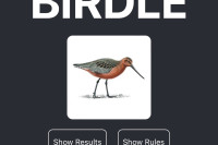 Birdle Game