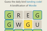 Brdl